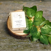 Load image into Gallery viewer, Flameless fresh herbal fragrance wax melts for home
