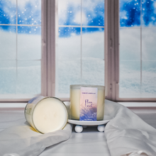Load image into Gallery viewer, Plum Frost Candle

