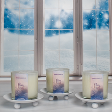 Load image into Gallery viewer, Plum Frost Candle
