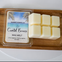 Load image into Gallery viewer, Soy wax melts in coastal fragrance blend with driftwood
