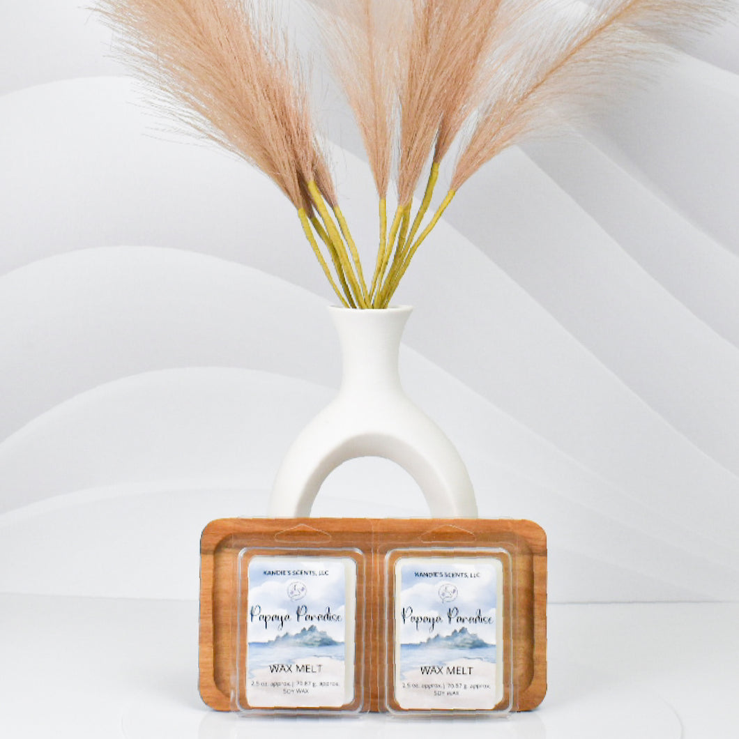 2.5 oz soy wax melts with tropical fruity fragrance